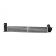 Intercooler, échangeur HELLA 8ML 366 340-501 - Visuel 3