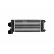 Intercooler, échangeur HELLA 8ML 366 471-041 - Visuel 2