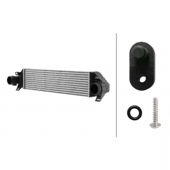 Intercooler, échangeur HELLA 8ML 366 471-051