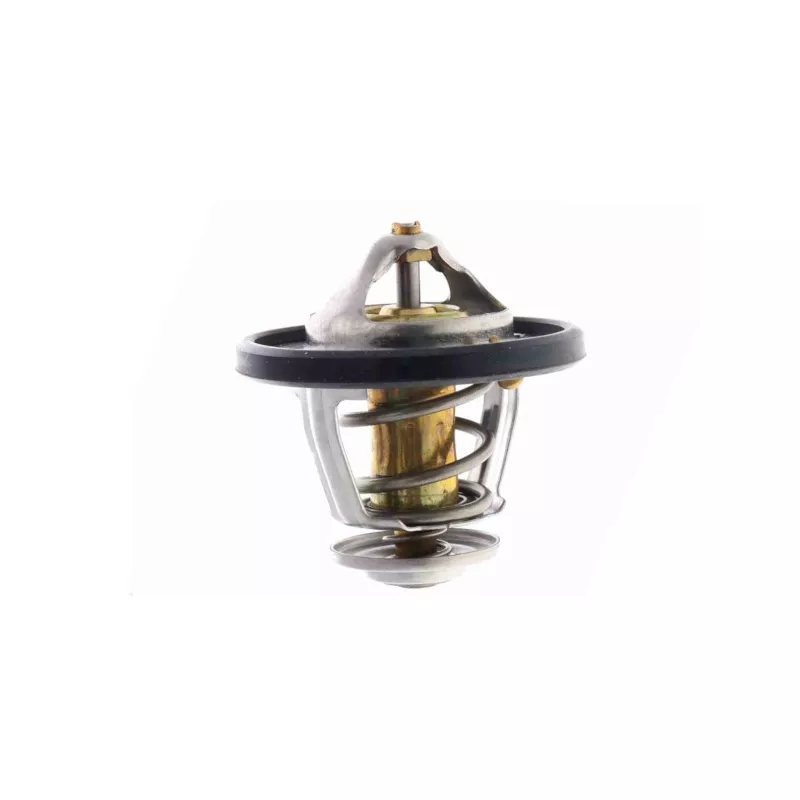 Boîtier du thermostat GOOM THE-0194