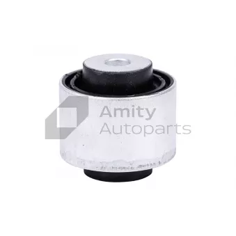 Suspension, bras de liaison avant Amity AP