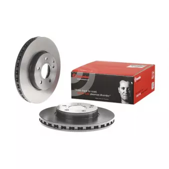 Jeu de 2 disques de frein avant BREMBO 09.C893.11