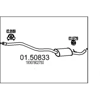 Silencieux central MTS