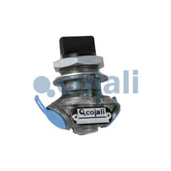 Valve à plusieurs voies COJALI