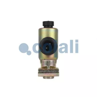 Valve magnétique COJALI 2218206
