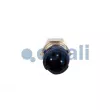 Capteur COJALI 2260754 - Visuel 2