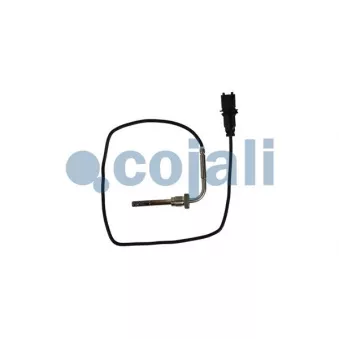 Capteur, température des gaz COJALI