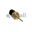 Sonde, température du liquide de refroidissement COJALI 2260982 - Visuel 2