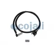 Capteur, vitesse de roue COJALI 2261191 - Visuel 1