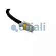 Capteur, vitesse de roue COJALI 2261492 - Visuel 2