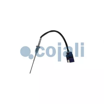 Capteur, température des gaz COJALI 2262008