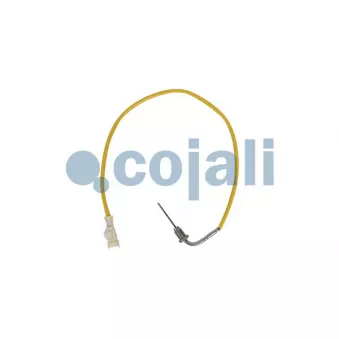 Capteur, température des gaz COJALI