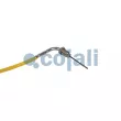 Capteur, température des gaz COJALI 2262019 - Visuel 2
