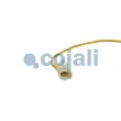 Capteur, température des gaz COJALI 2262019 - Visuel 3