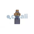 Capteur, pression des gaz échappement COJALI 2262035 - Visuel 1