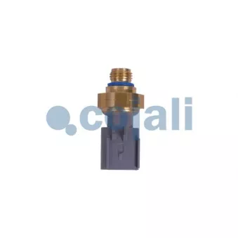 Capteur, pression des gaz échappement COJALI 2262035