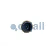 Capteur COJALI 2263033 - Visuel 2