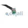 Capteur COJALI 2263033 - Visuel 3