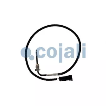 Capteur, température des gaz COJALI 2263041