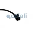 Capteur, température des gaz COJALI 2263041 - Visuel 2