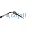 Capteur, température des gaz COJALI 2263041 - Visuel 3