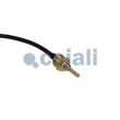 Sonde, température du liquide de refroidissement COJALI 2264029 - Visuel 2