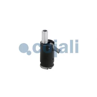 Pommeau de vitesses COJALI 2880150