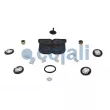 Kit de réparation COJALI 6012170 - Visuel 1