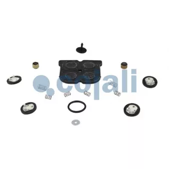 Kit de réparation COJALI 6012170