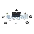 Kit de réparation COJALI 6012170 - Visuel 2