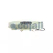 Ventilateur, refroidissement du moteur COJALI 7245108 - Visuel 3