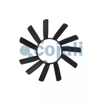 Roue du souffleur, refroidissement du moteur COJALI