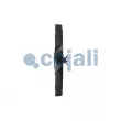 Ventilateur, refroidissement du moteur COJALI 8521149 - Visuel 2
