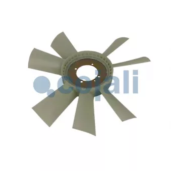 Roue du souffleur, refroidissement du moteur COJALI 8521691