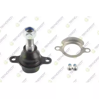 Rotule de suspension TEKNOROT