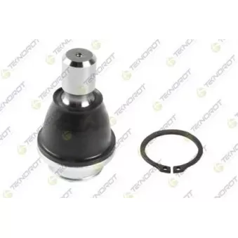 Rotule de suspension TEKNOROT