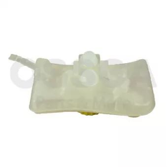 Vase d'expansion, liquide de frein OSSCA