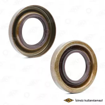 Bague d'étanchéité, différentiel SKT