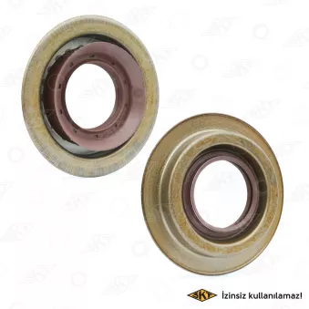 Bague d'étanchéité, différentiel SKT