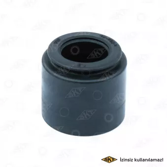 Bague d'étanchéité, tige de soupape SKT