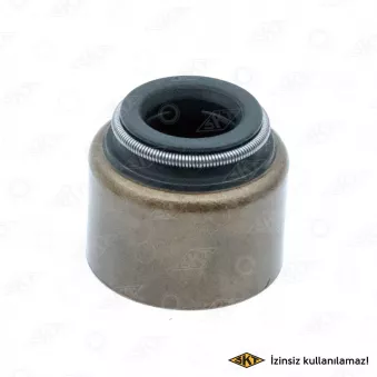 Bague d'étanchéité, tige de soupape SKT