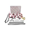 Kit de distribution par chaîne iwis Motorsysteme 75852Set - Visuel 1