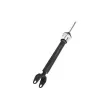 Amortisseurs arrière ZentParts Z00508 - Visuel 2