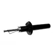 Amortisseurs arrière ZentParts Z00569 - Visuel 1
