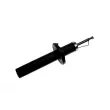 Amortisseurs arrière ZentParts Z00569 - Visuel 2