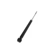 Amortisseurs arrière ZentParts Z00668 - Visuel 1