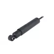 Amortisseurs arrière ZentParts Z01535 - Visuel 2