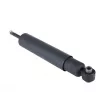 Amortisseurs arrière ZentParts Z01535 - Visuel 3