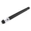 Amortisseurs arrière ZentParts Z01539 - Visuel 2