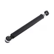 Amortisseurs arrière ZentParts Z01539 - Visuel 3